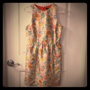 NWT Cynthia Steffe Floral Dress